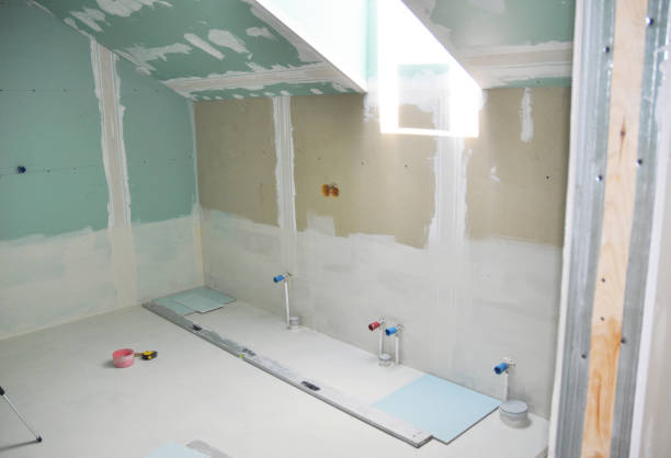 Best Basement Mold Removal  in Estancia, NM