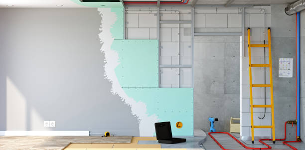 Best Real Estate Mold Inspection  in Estancia, NM