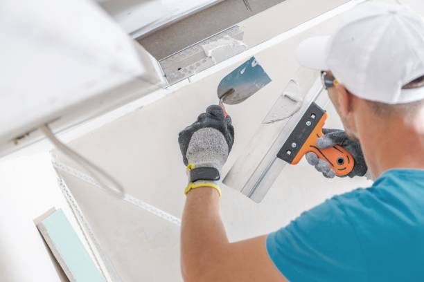 Best Black Mold Removal  in Estancia, NM